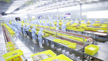 拼多多“商家权益保护委员会”推出惠商新举措 新质供给赋能外贸工厂，成功打通内销新通路